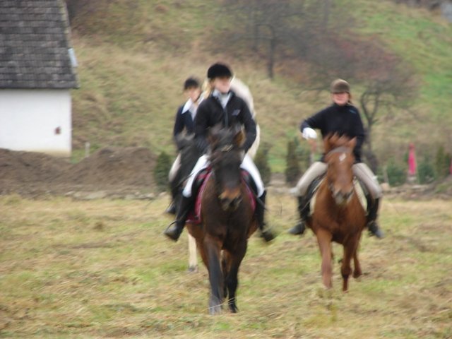 Hubertus 2010